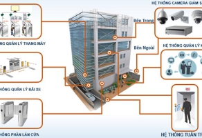 Thống kê thương mại - Hạt tiêu chưa xay